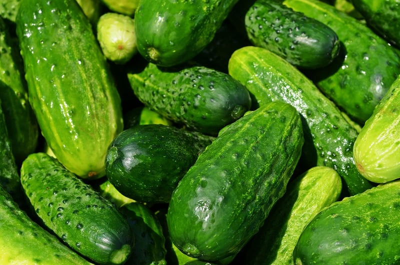 Fresh Vegetables